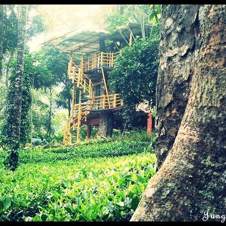 Jungle Jive Tree House Villa Munnar Exterior photo