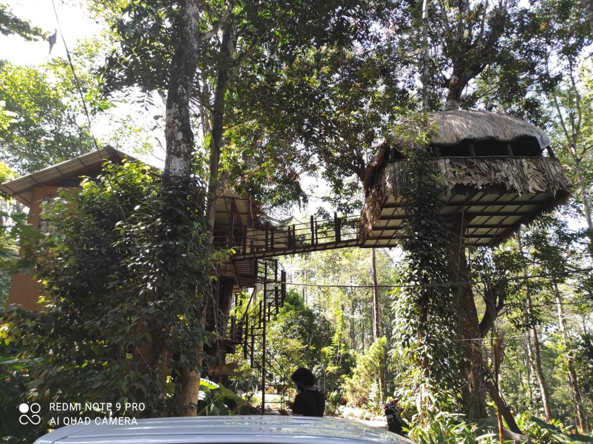 Jungle Jive Tree House Villa Munnar Exterior photo